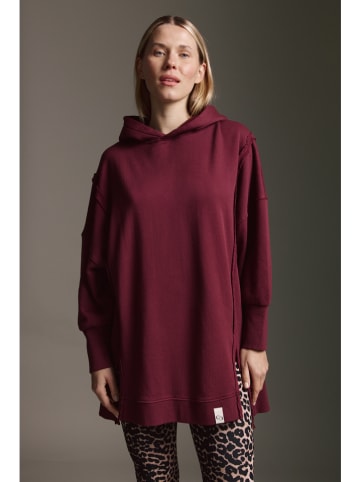 Cotton Candy Hoodie in Bordeaux