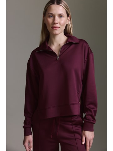 Cotton Candy Sweatshirt in Bordeaux