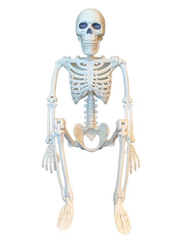 Magni Deco-object "Halloween Skelett" - vanaf 3 jaar