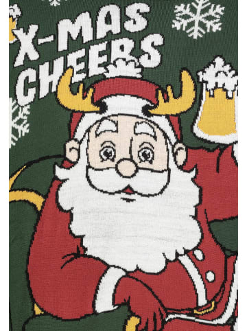 Sublevel Pullover in Grün