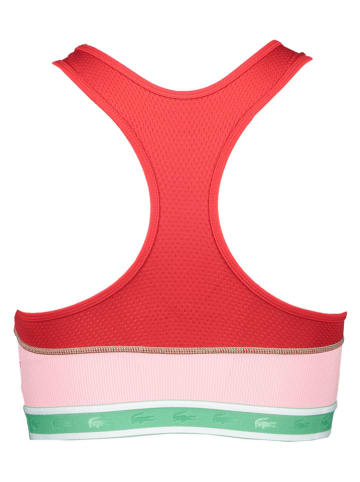 Lacoste Biustonosz sportowy w kolorze czerwono-jasnoróżowo-zielonym