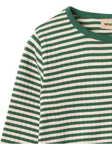 Wheat Longsleeve "Stig" in Grün/ Beige