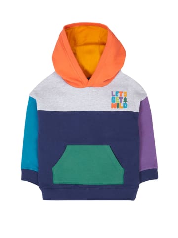 Frugi Hoodie "Ben" meerkleurig