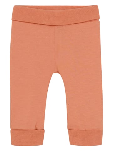 Noppies Broek oranje