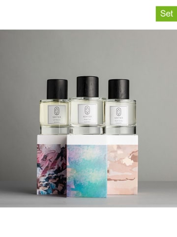 Sentier 3-delige parfumset "Statement Signature Trio" - eau de parfum, elk 100 ml