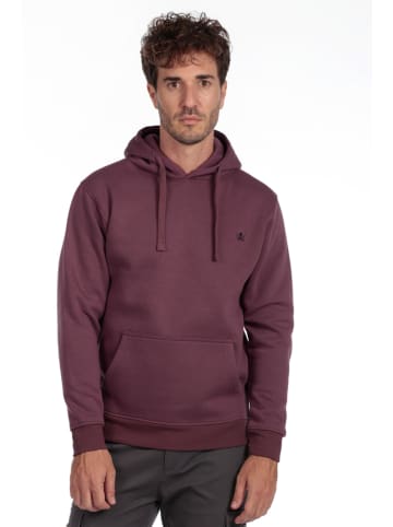 The Time of Bocha Bluza w kolorze