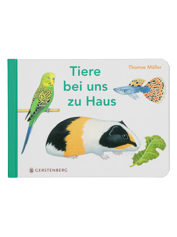 Gerstenberg Verlag Papp-Bilderbuch "Tiere bei uns zu Haus"
