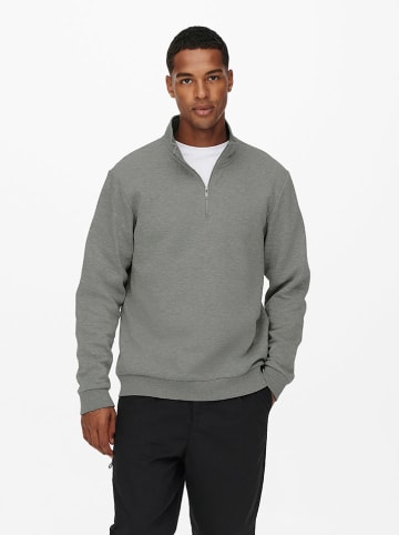 ONLY & SONS Sweatshirt "Ceres" in Grau