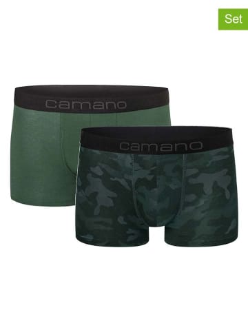 camano 2er-Set: Boxershorts in Grün