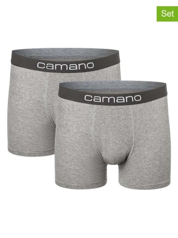 camano 2er-Set: Boxershorts in Grau