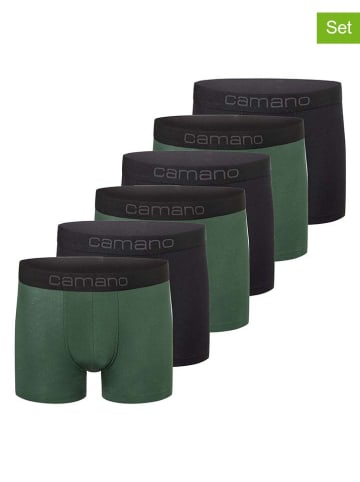 camano 6er-Set: Boxershorts in Schwarz/ Grün