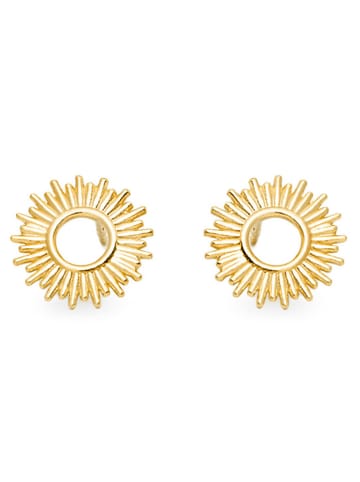 Ania Kruk Vergold. Ohrstecker