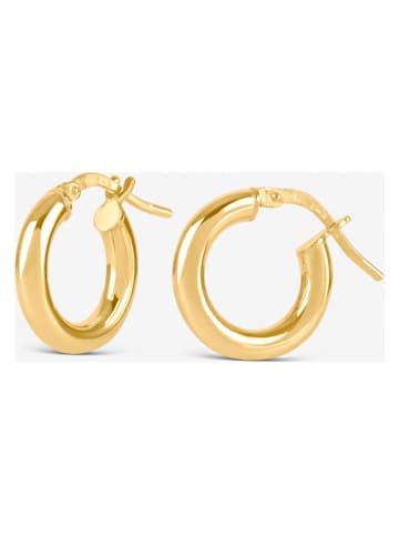 Ania Kruk Vergold. Creolen