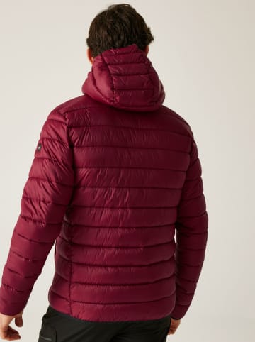 Regatta Steppjacke "Marizion" in Bordeaux