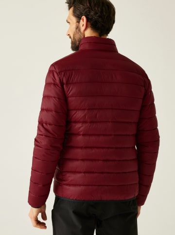 Regatta Kurtka pikowana "Marizion" w kolorze bordowym