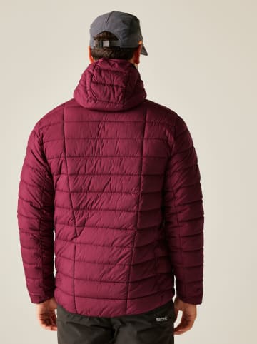 Regatta Doorgestikte jas "Asper" bordeaux