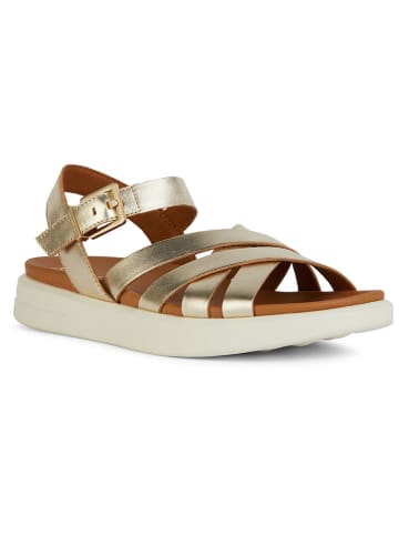 Geox Sandalen "Xand 2S" goudkleurig