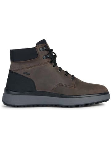 Geox Leder-Boots "Granito + Grip" in Braun