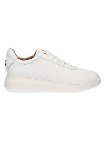 Geox Leren sneakers "Rubidia" wit