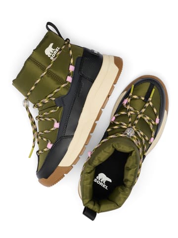 Sorel Botki "Whitney III" w kolorze khaki