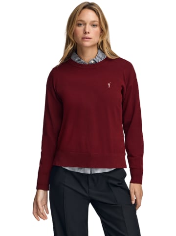 Polo Club Pullover in Bordeaux