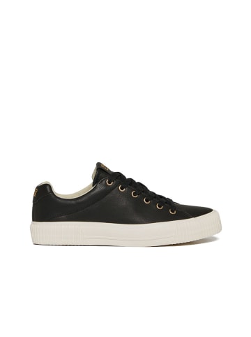 Polo Club Sneakers in Schwarz