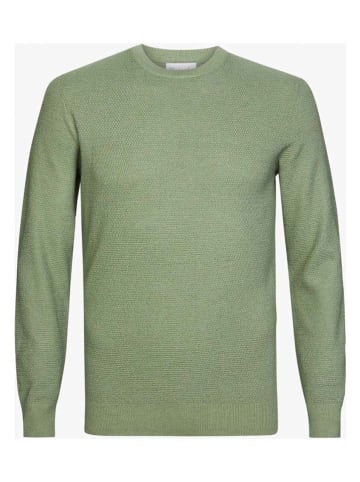 Michaelis Trui groen