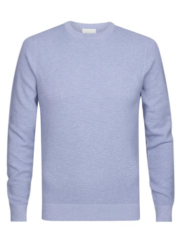 PROFUOMO Pullover in Hellblau