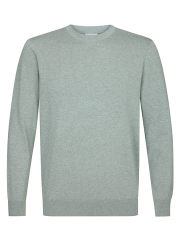 PROFUOMO Pullover in Grau