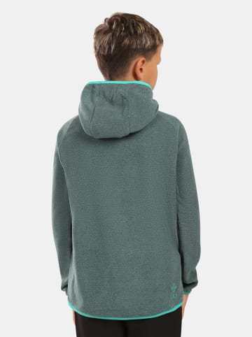 Kilpi Fleecehoodie "Flond" in Grün
