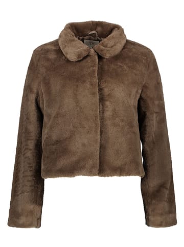 JDY Übergangsjacke in Hellbraun