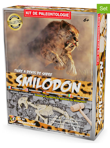 Ulysse Ausgrabungsset "Smilodon" - ab 6 Jahren