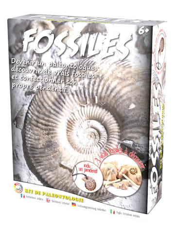 Ulysse Zestaw wykopaliskowy "Fossil" - 6+