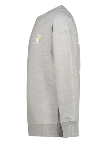 RAIZZED® Sweatshirt "Norwin" in Hellgrau