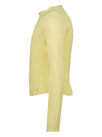 RAIZZED® Longsleeve "Taar" in Gelb