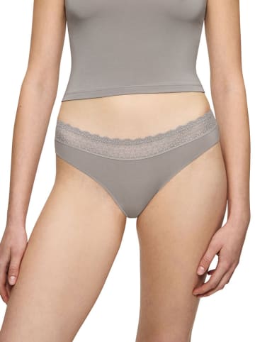 Triumph Figi w kolorze szarym