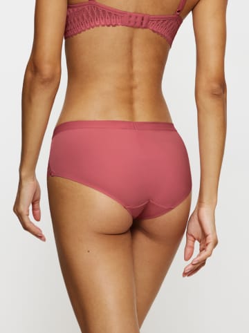 Triumph Pełne figi w kolorze jagodowym