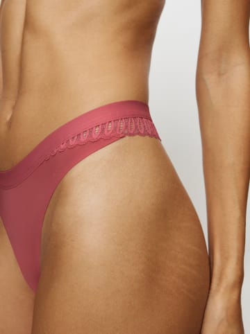 Triumph Taillenstring beskleurig