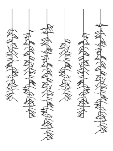 WellHome LED-Lichterkette in Warmweiß - (L)1000 cm