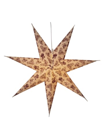 STAR Trading Papieren ster wit - Ø 60 cm