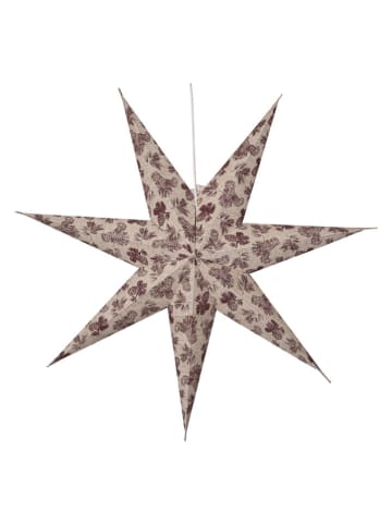 STAR Trading Papieren ster wit - Ø 60 cm