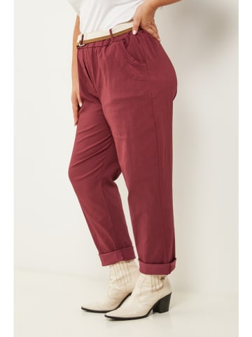 Curvy Lady Spodnie w kolorze bordowym