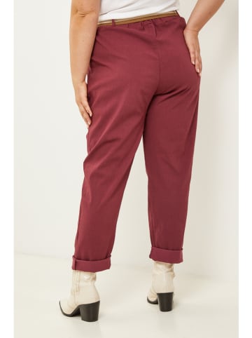 Curvy Lady Hose in Bordeaux