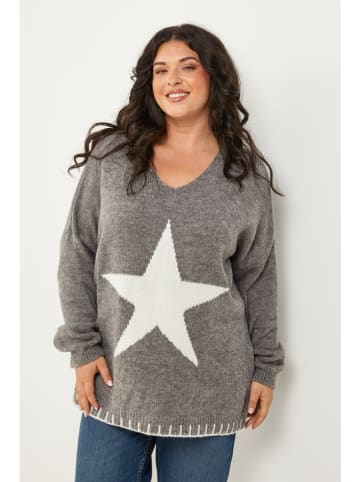 Curvy Lady Pullover in Grau
