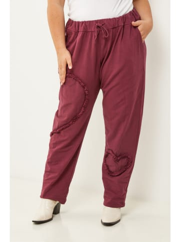 Curvy Lady Hose in Bordeaux