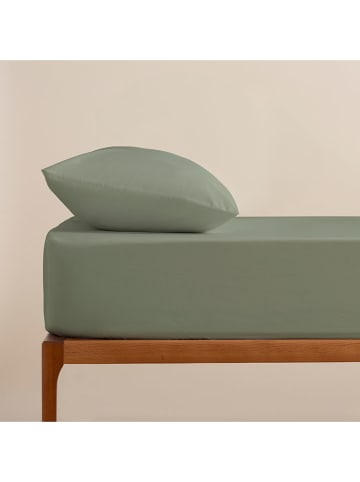 Pierre Cardin Paris Perkal hoeslaken groen