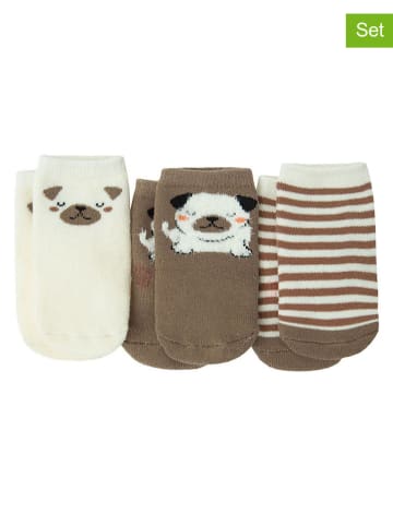 COOL CLUB 3er-Set: Socken in Weiß/ Braun