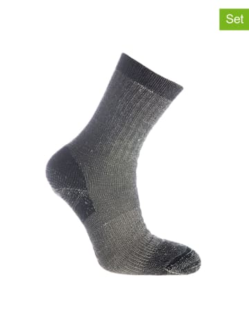 Seger Skarpety funkcyjne (2 pary) w kolorze szarym