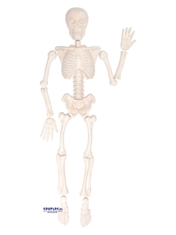 Eduplay Sandform "Menschliches Skelett" - ab 3 Jahren