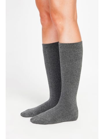 ASSUILI Kniestrümpfe in Grau